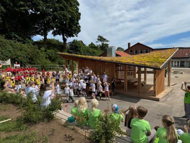 Ol samling